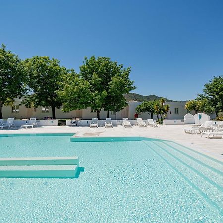 Hotel Le Mimose San Teodoro  Ngoại thất bức ảnh